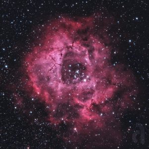 Rosette Nebula captured on 2/27/22.