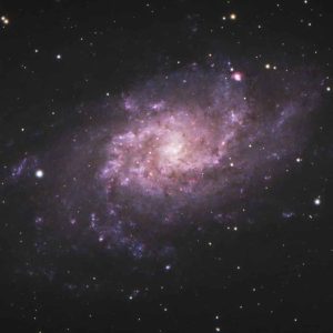 [banner] banner image of the Triangulum galaxy